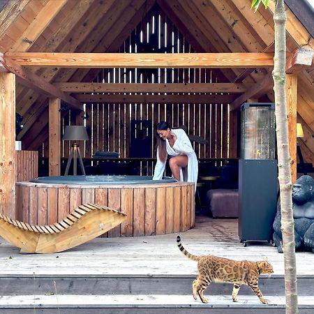 Gorska Osada Lovely Chalets Zakopane Поронин Екстериор снимка